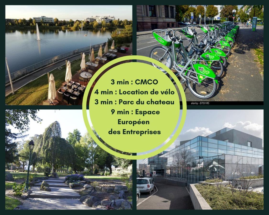 شقة Vieux Schilik / Parking / Tram / Parlement / Proche Strasbourg Centre ستشيلتيغهيم المظهر الخارجي الصورة